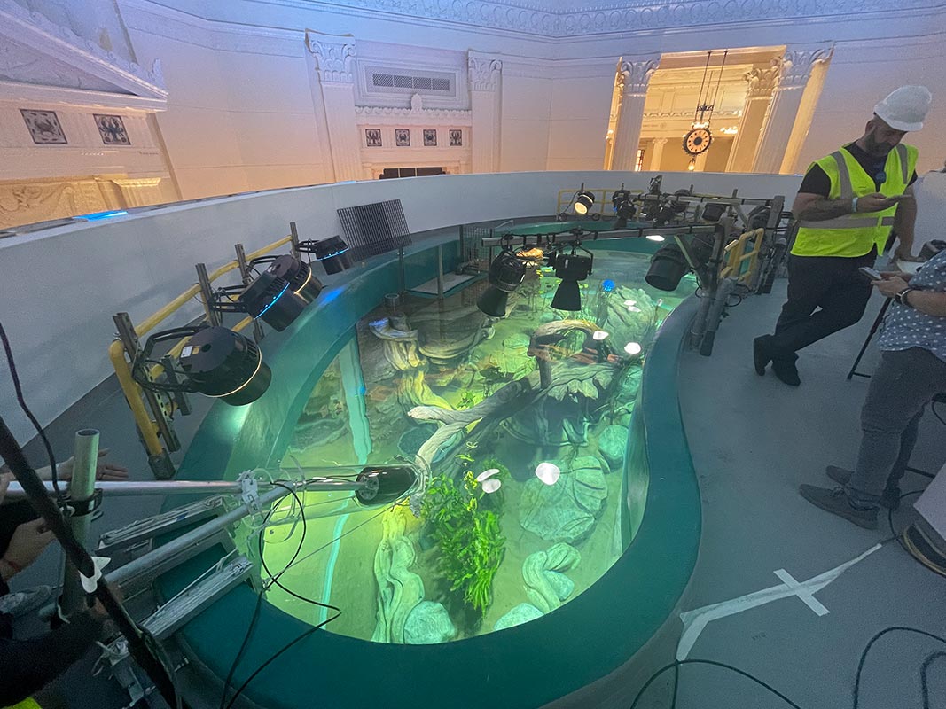Bridgewater Studio | Museum Design | Shedd Aquarium - High End Saltwater Aquarium Inventive Bridge